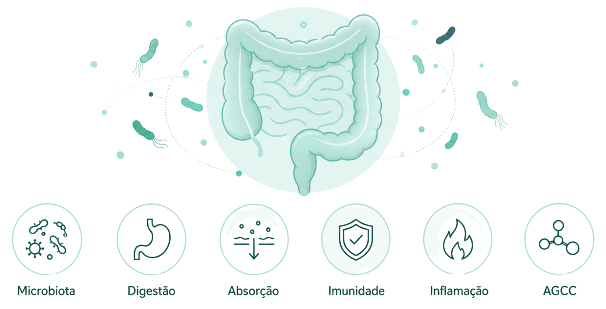 Ilustração do intestino cercado por bactérias, com os eixos avaliados: microbiota, digestão, absorção, imunidade, inflamação e AGCC